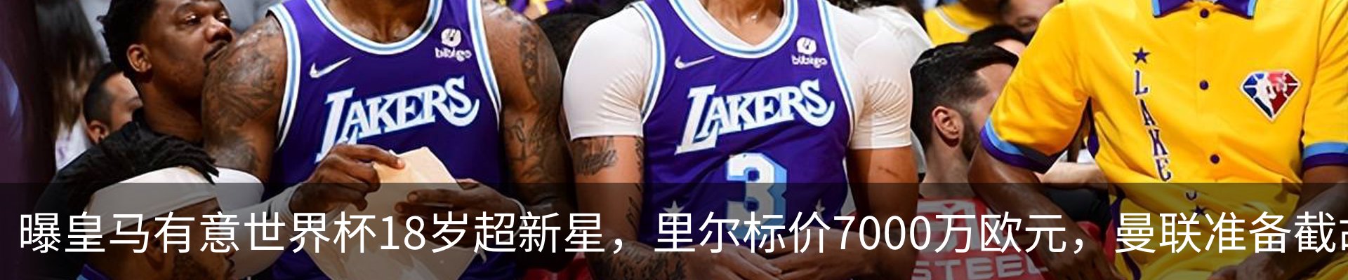 最新动态