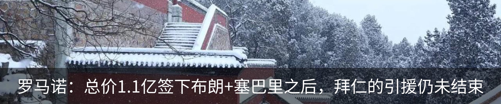 最新动态